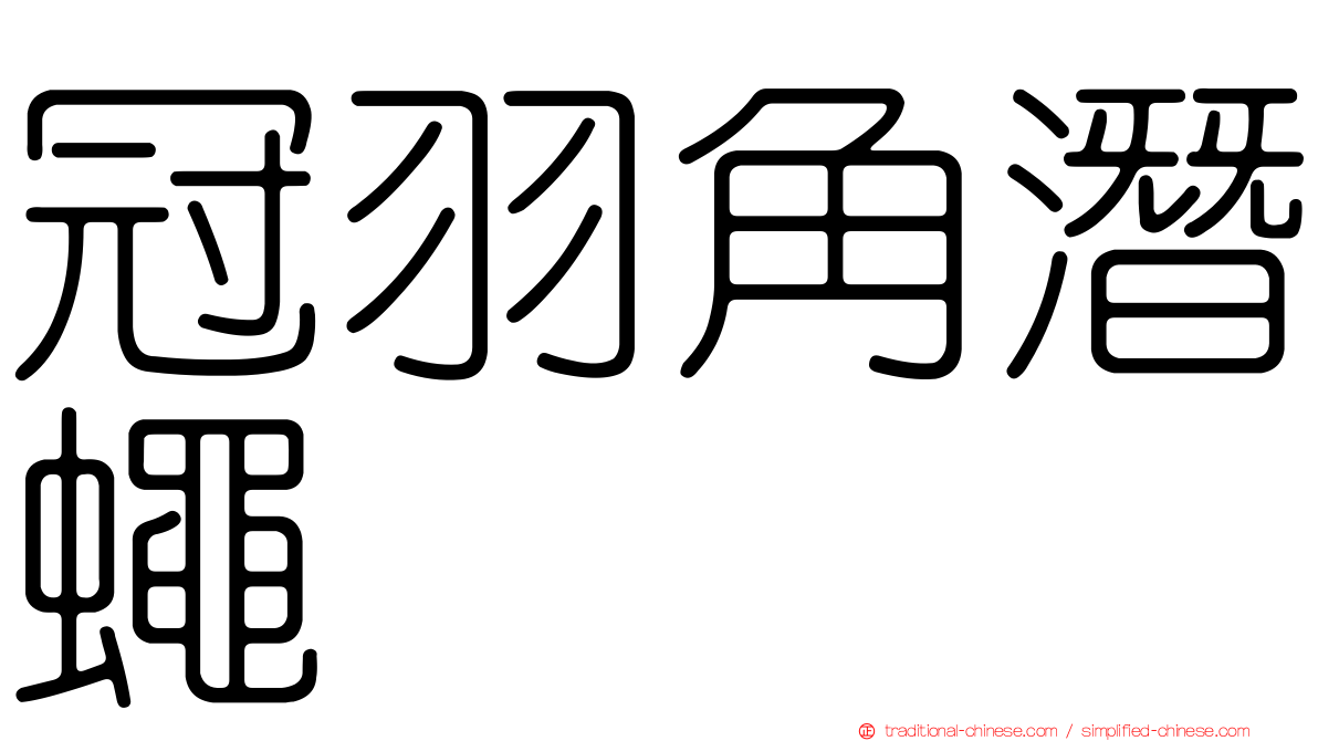 冠羽角潛蠅