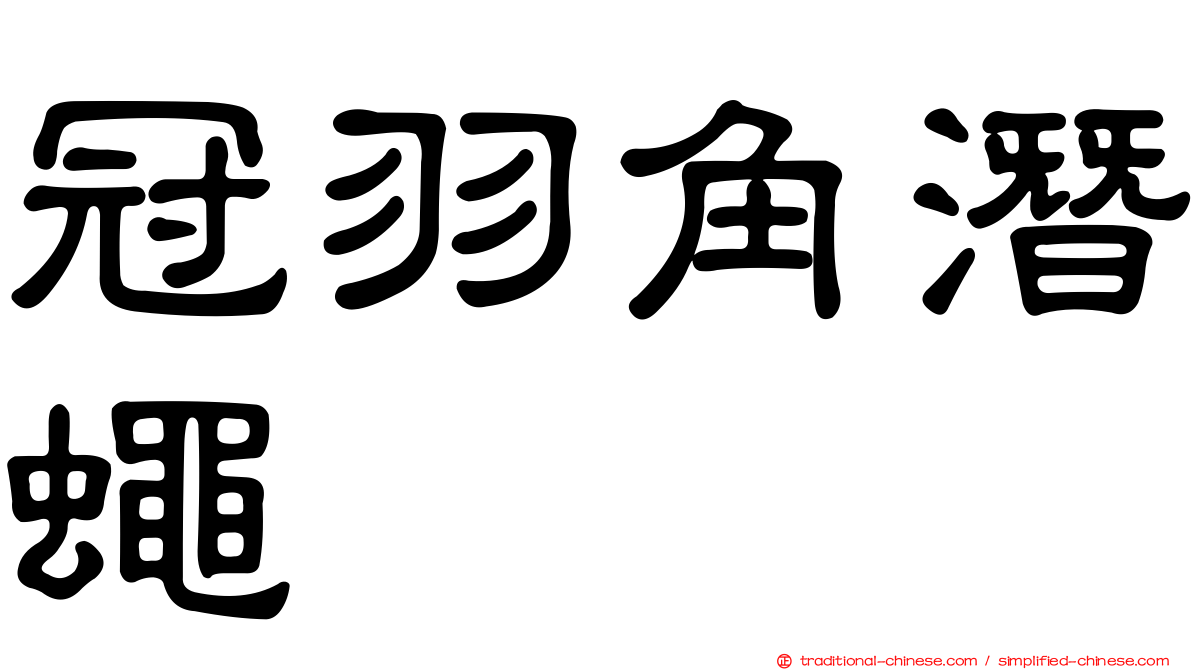 冠羽角潛蠅