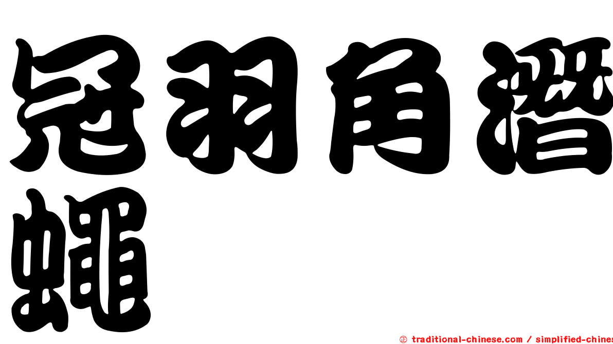 冠羽角潛蠅