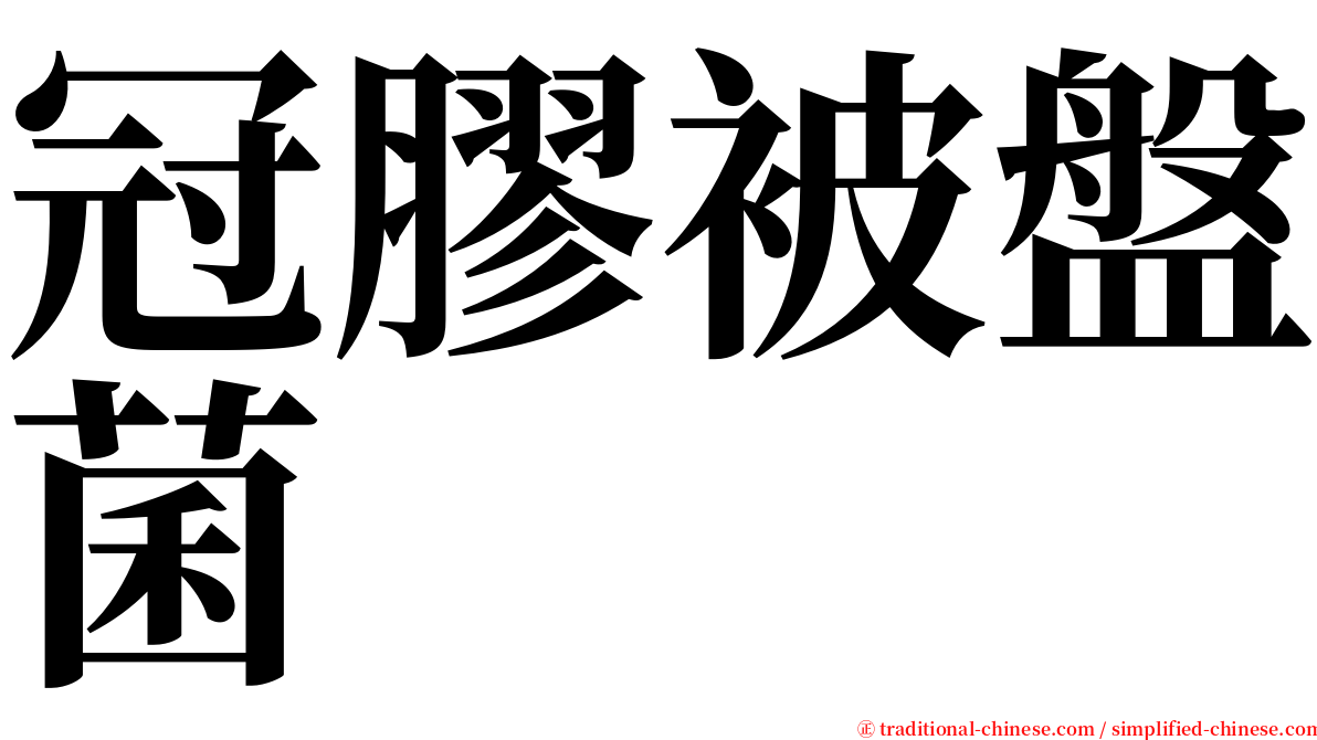 冠膠被盤菌 serif font