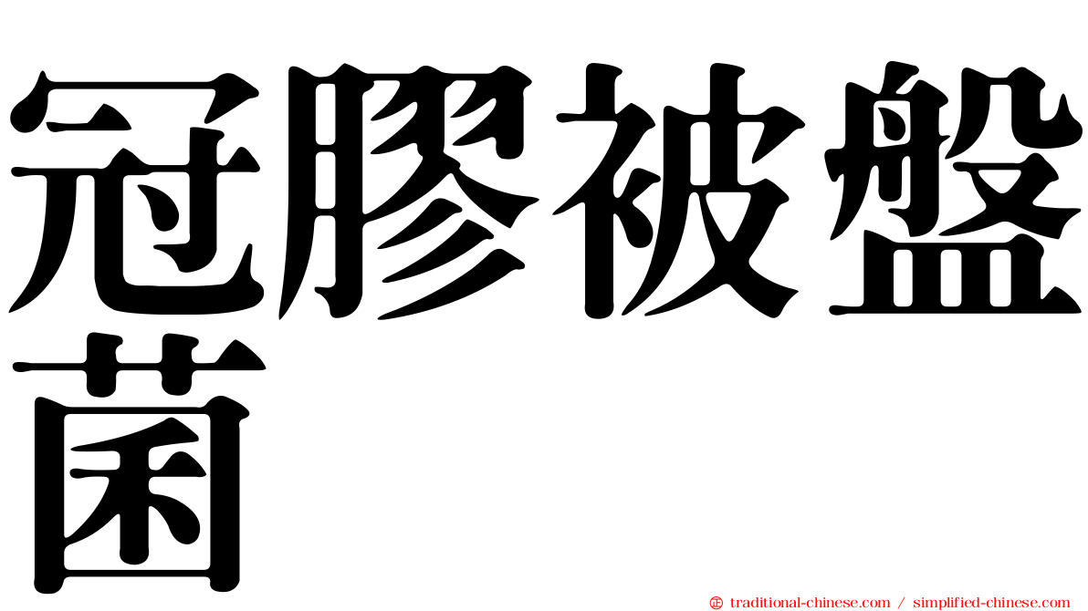 冠膠被盤菌