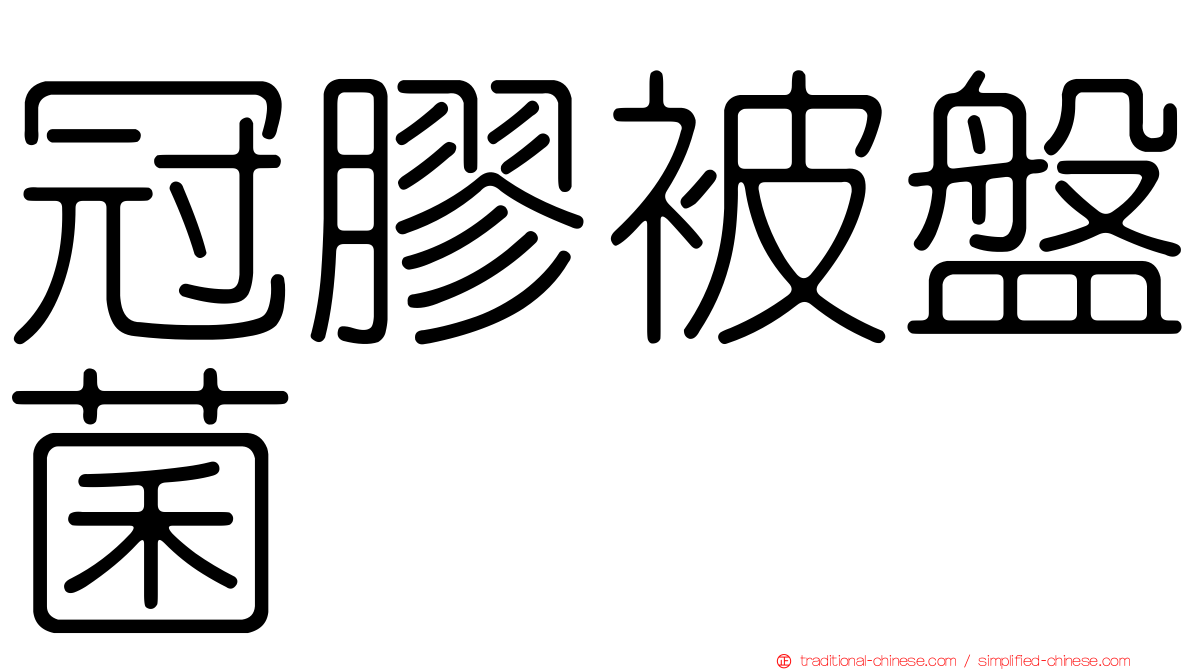 冠膠被盤菌
