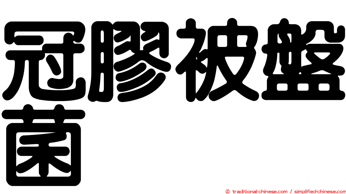 冠膠被盤菌