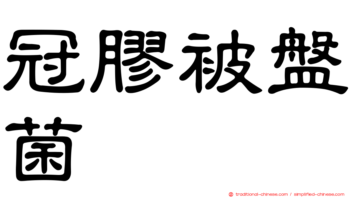 冠膠被盤菌