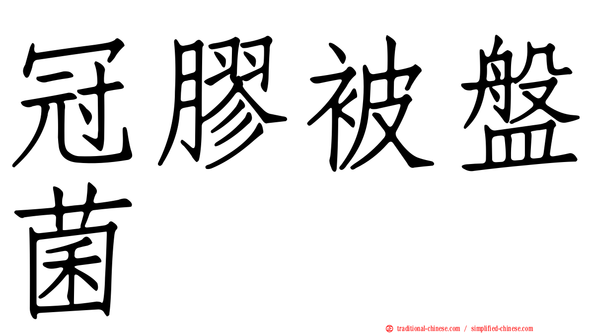 冠膠被盤菌