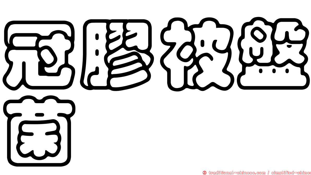 冠膠被盤菌