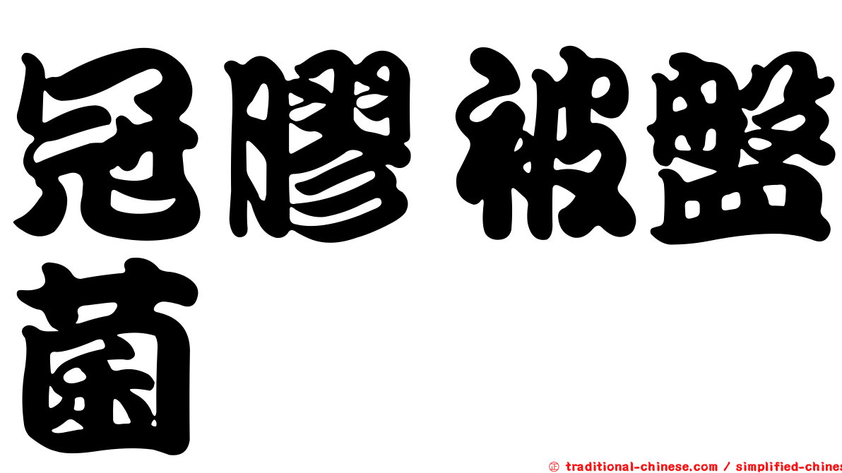 冠膠被盤菌