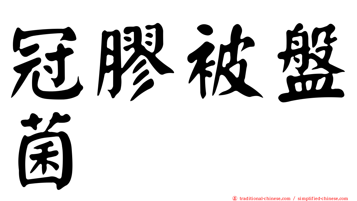 冠膠被盤菌