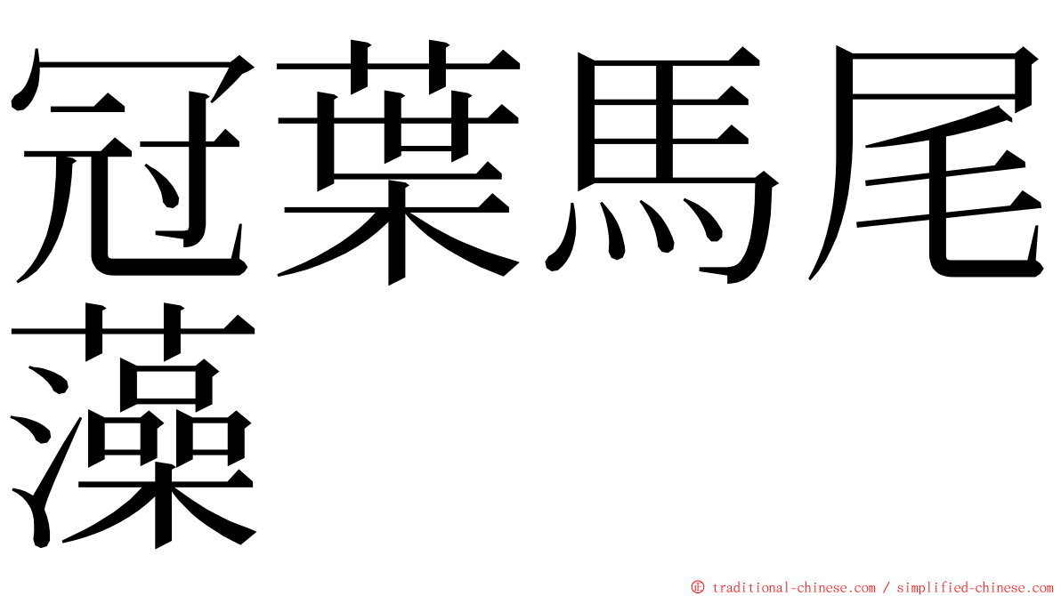 冠葉馬尾藻 ming font