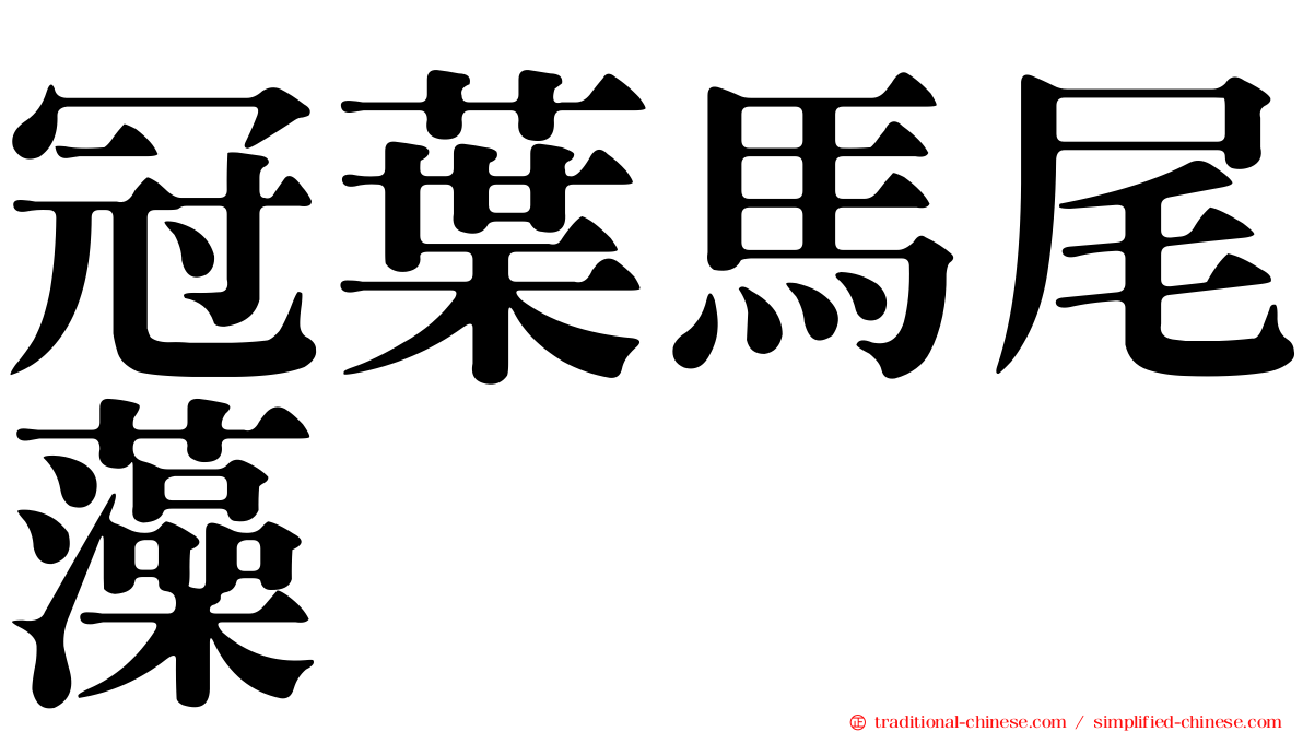 冠葉馬尾藻