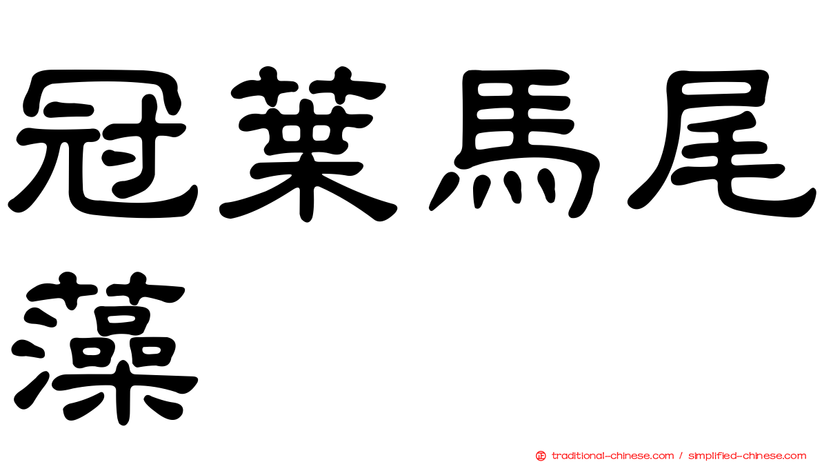 冠葉馬尾藻