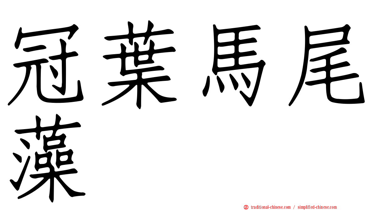 冠葉馬尾藻