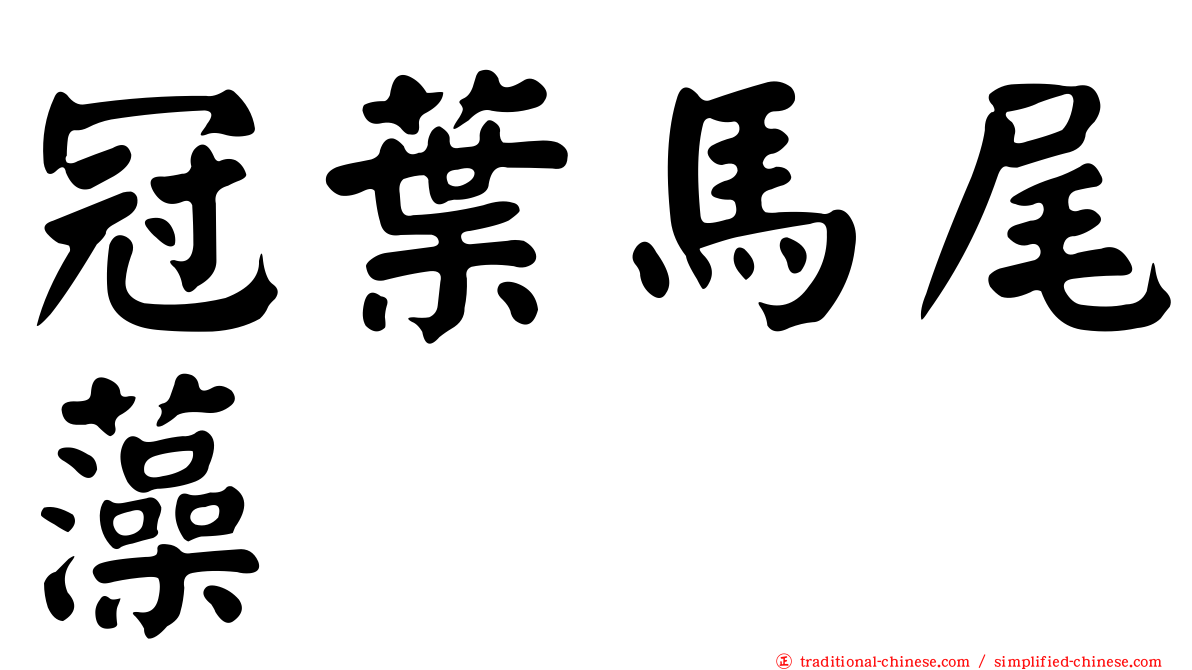 冠葉馬尾藻