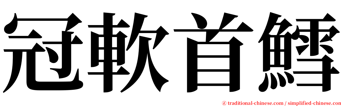 冠軟首鱈 serif font