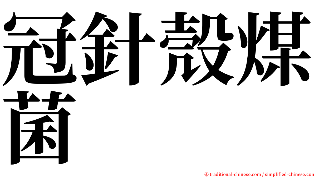 冠針殼煤菌 serif font