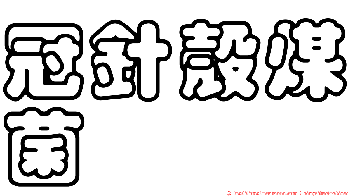 冠針殼煤菌