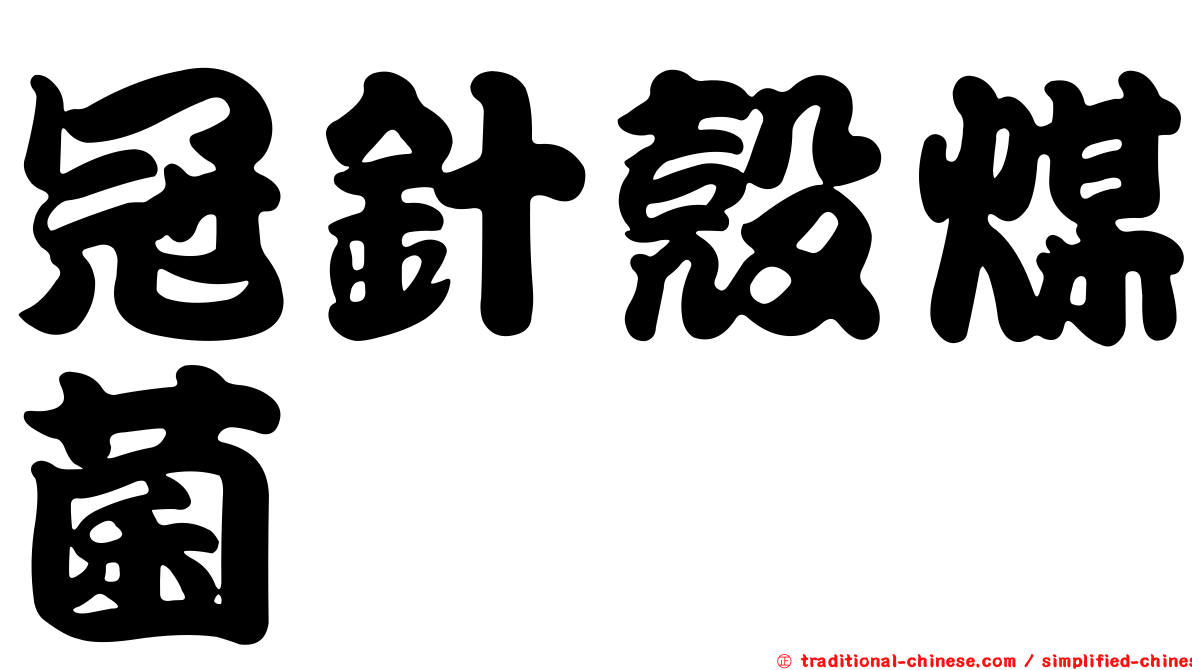 冠針殼煤菌