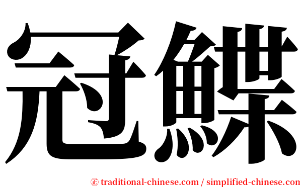 冠鰈 serif font