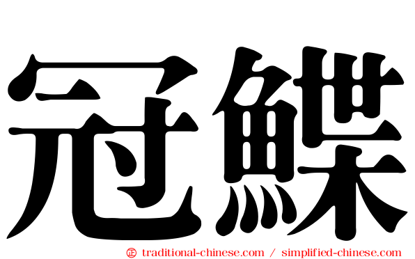 冠鰈