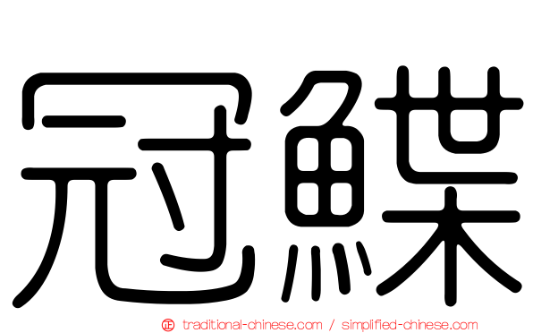 冠鰈