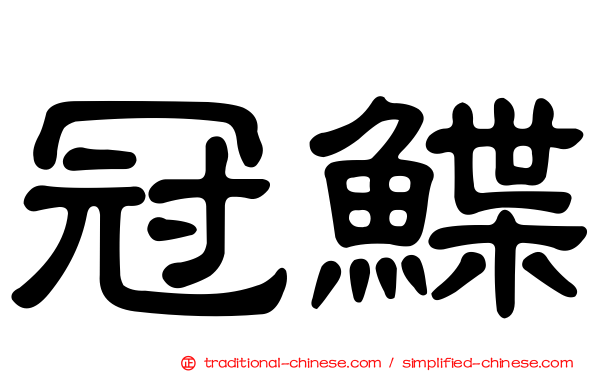 冠鰈