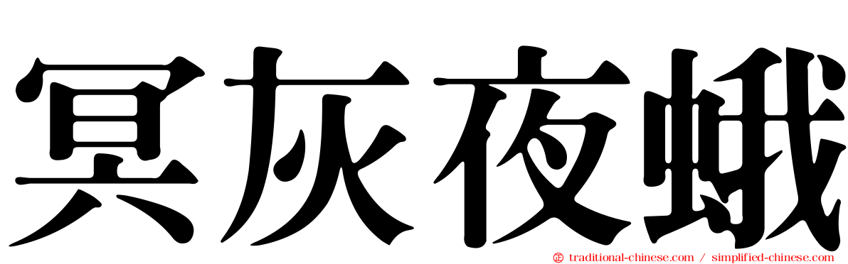 冥灰夜蛾
