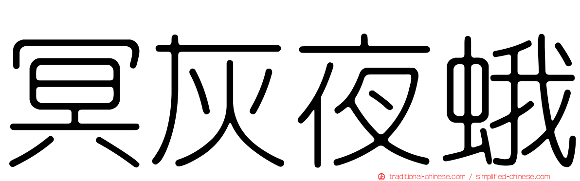 冥灰夜蛾