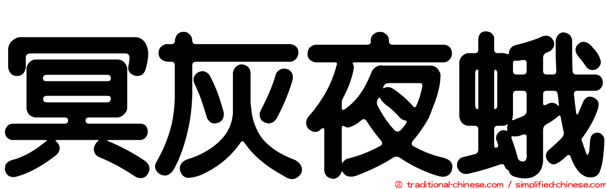 冥灰夜蛾