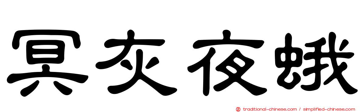 冥灰夜蛾