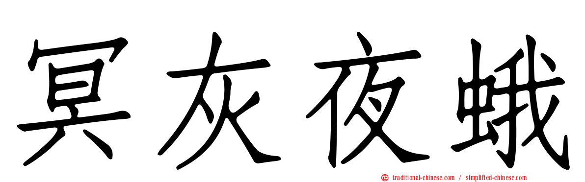 冥灰夜蛾