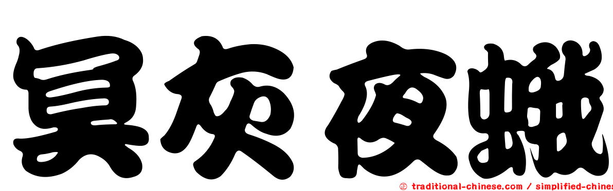 冥灰夜蛾