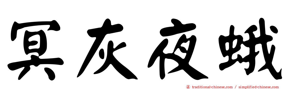 冥灰夜蛾