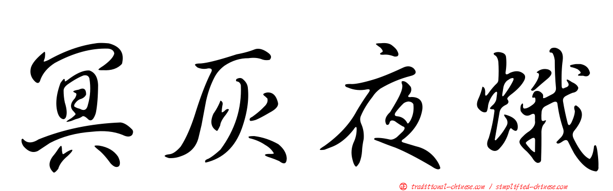 冥灰夜蛾