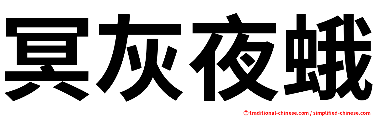 冥灰夜蛾