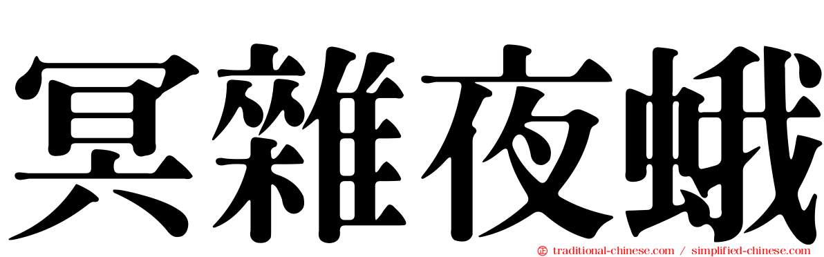 冥雜夜蛾