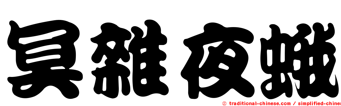 冥雜夜蛾
