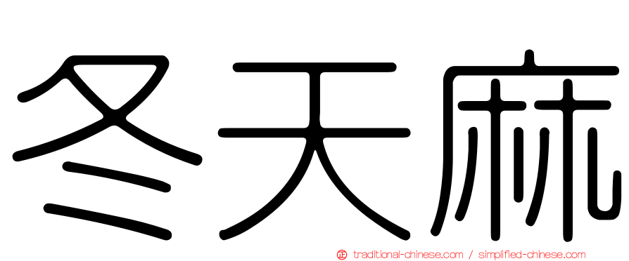 冬天麻