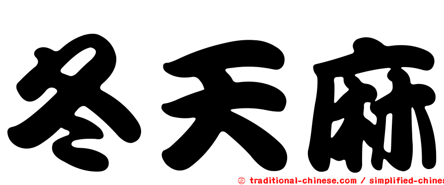 冬天麻