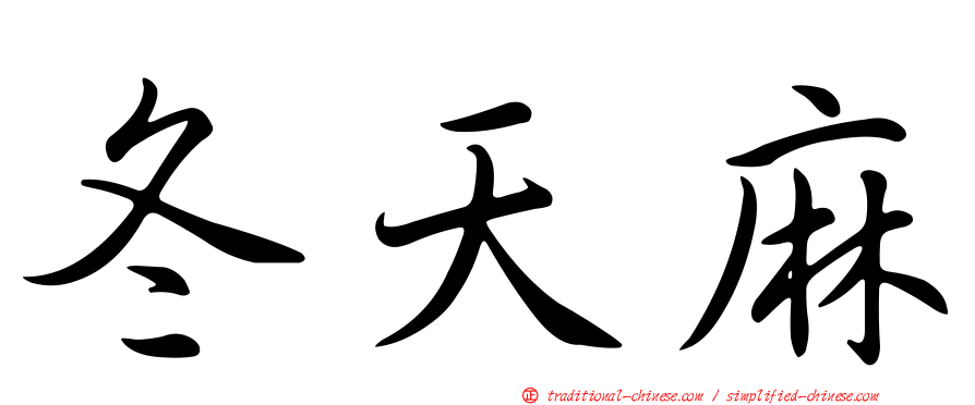 冬天麻