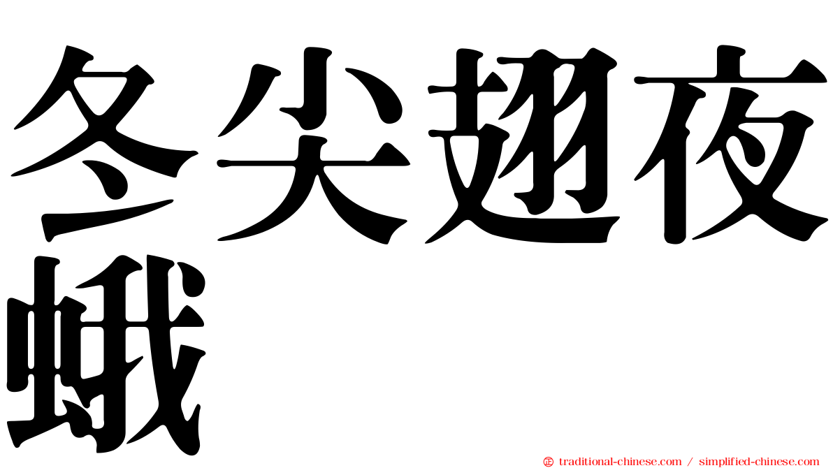 冬尖翅夜蛾