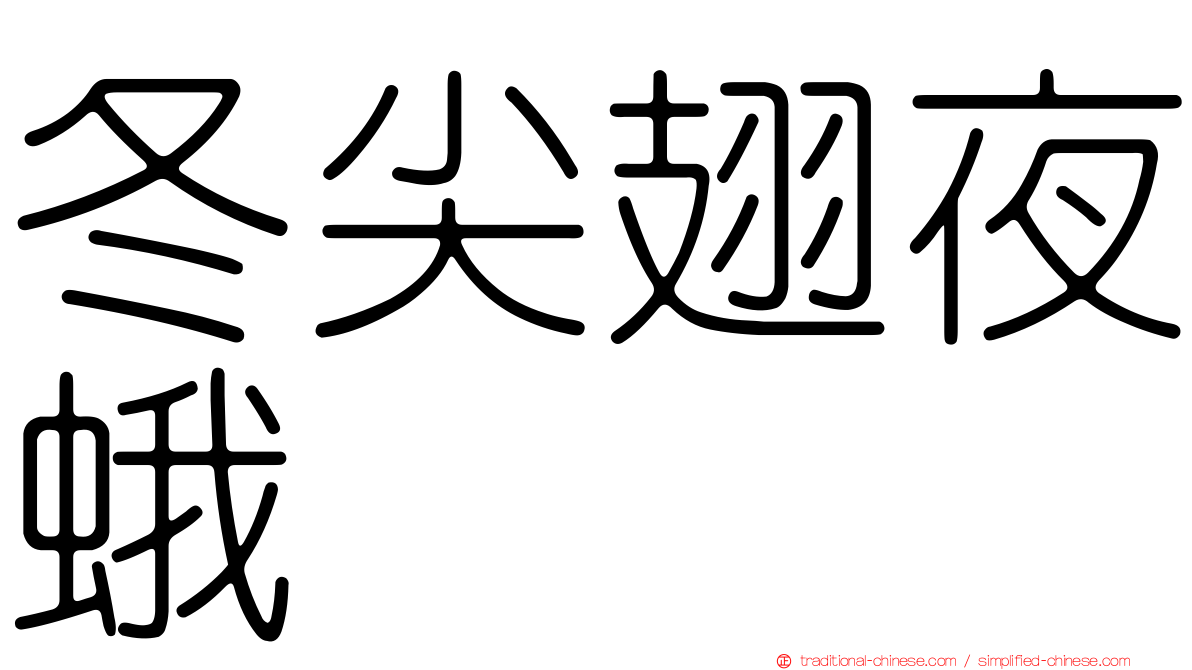 冬尖翅夜蛾