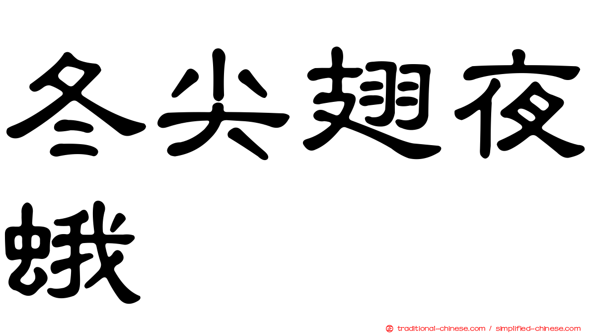 冬尖翅夜蛾