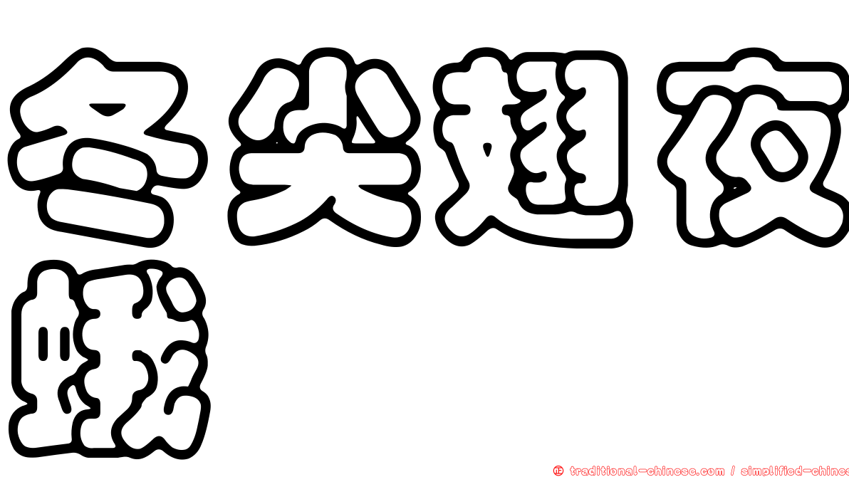 冬尖翅夜蛾
