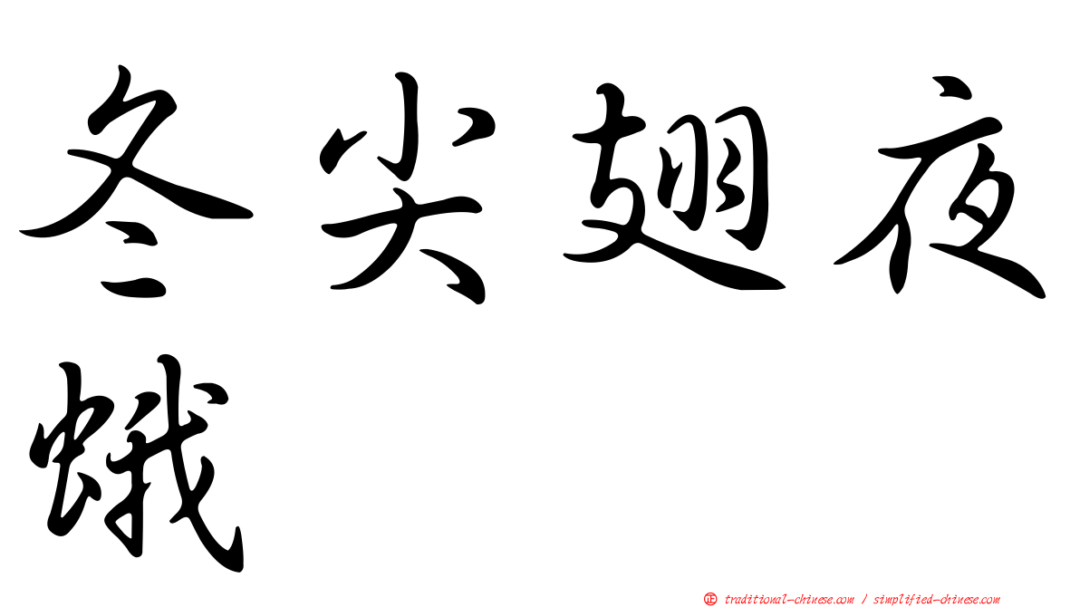 冬尖翅夜蛾