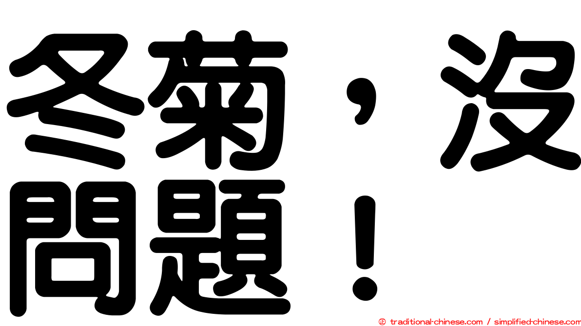 冬菊，沒問題！