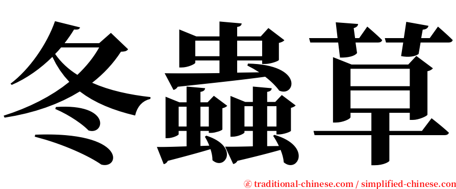 冬蟲草 serif font