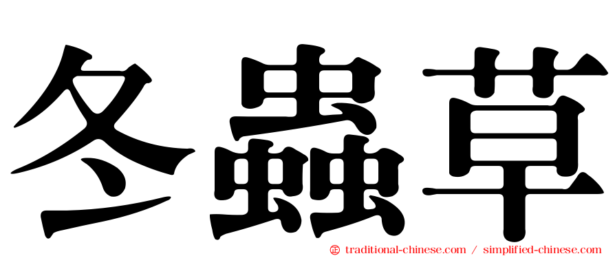 冬蟲草