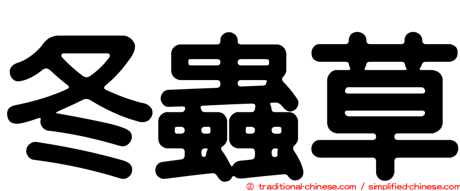 冬蟲草
