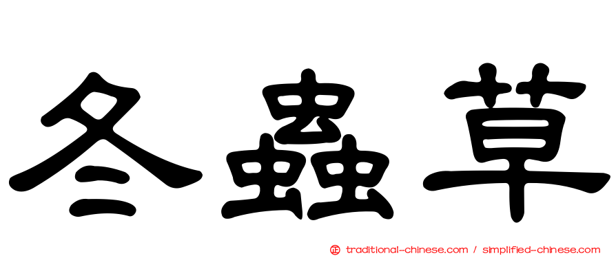 冬蟲草
