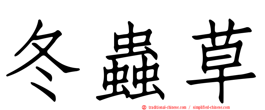 冬蟲草